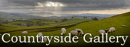 Countryside Gallery
