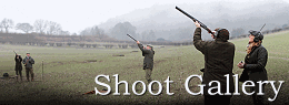 Shoot Gallery